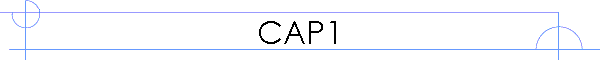 CAP1