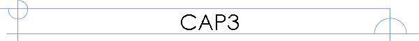CAP3